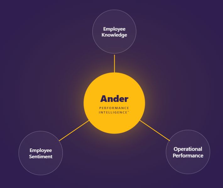 ander performance intelligence diagram