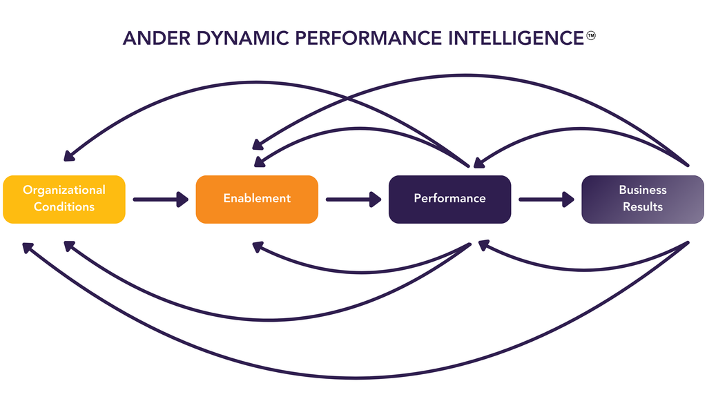 performance intelligence
